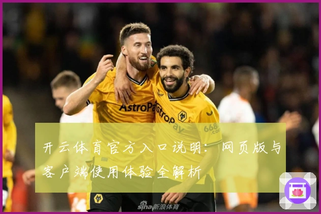 开云体育官方入口说明：网页版与客户端使用体验全解析