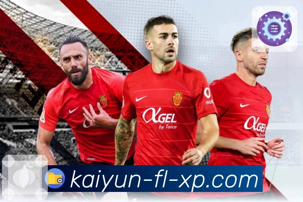 模块化功能体系